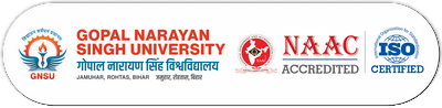GNS University